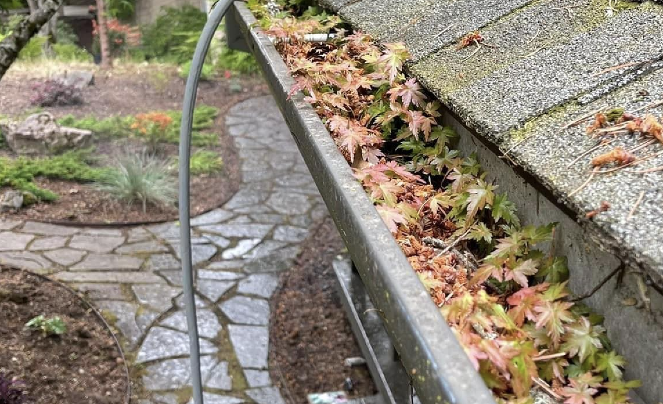 clogged gutters